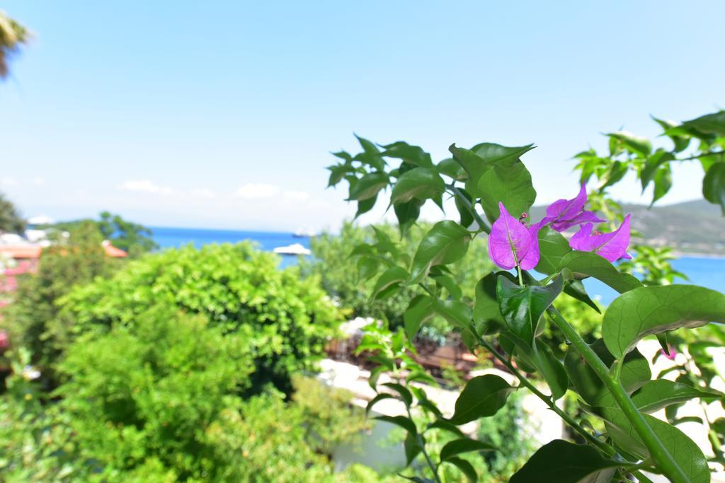 Maritim Hotel Göltürkbükü Dış mekan fotoğraf